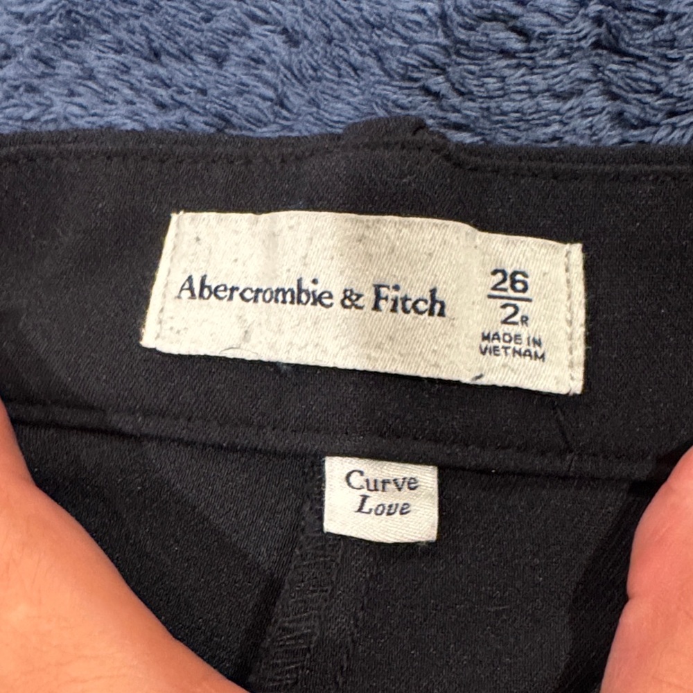 Abercrombie & Fitch Curve Love Tailored Back Pants.